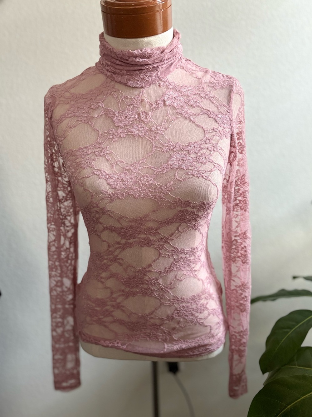 wild fable Blush Chantilly Lace Sheer High Neck Long Sleeve Top Unique Color